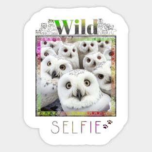 Owl Bird Wild Nature Funny Happy Humor Photo Selfie Sticker